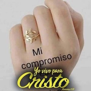 Meet your Posher, Vicky